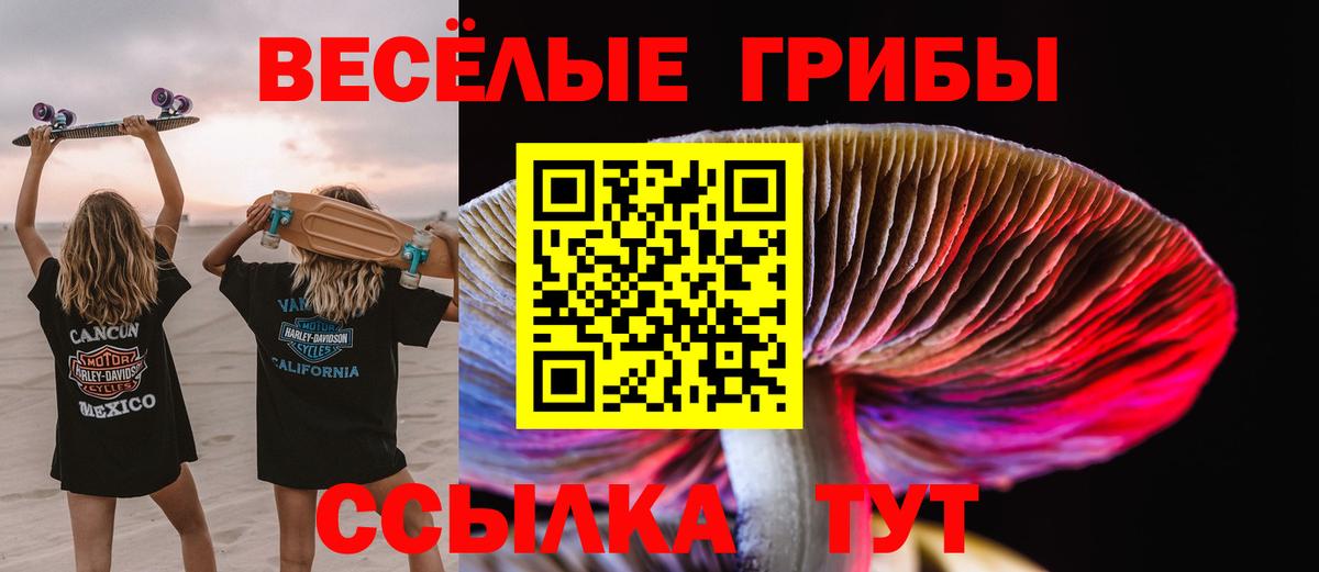 Канаш  Псилоцибиновые грибы Psilocybine cubensis  Галлюциногенные грибы мицелий  Вход с VPN 