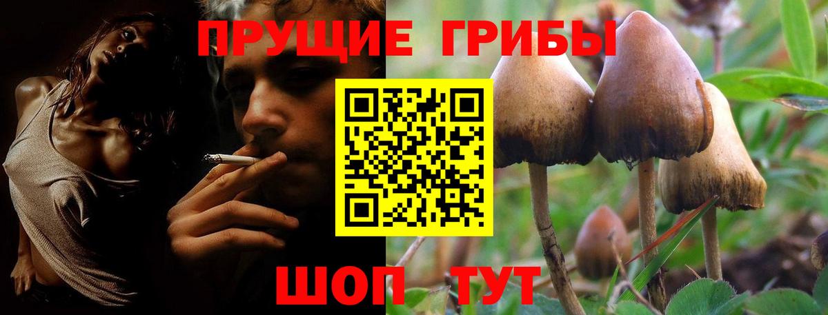Псилоцибиновые грибы мицелий Канаш