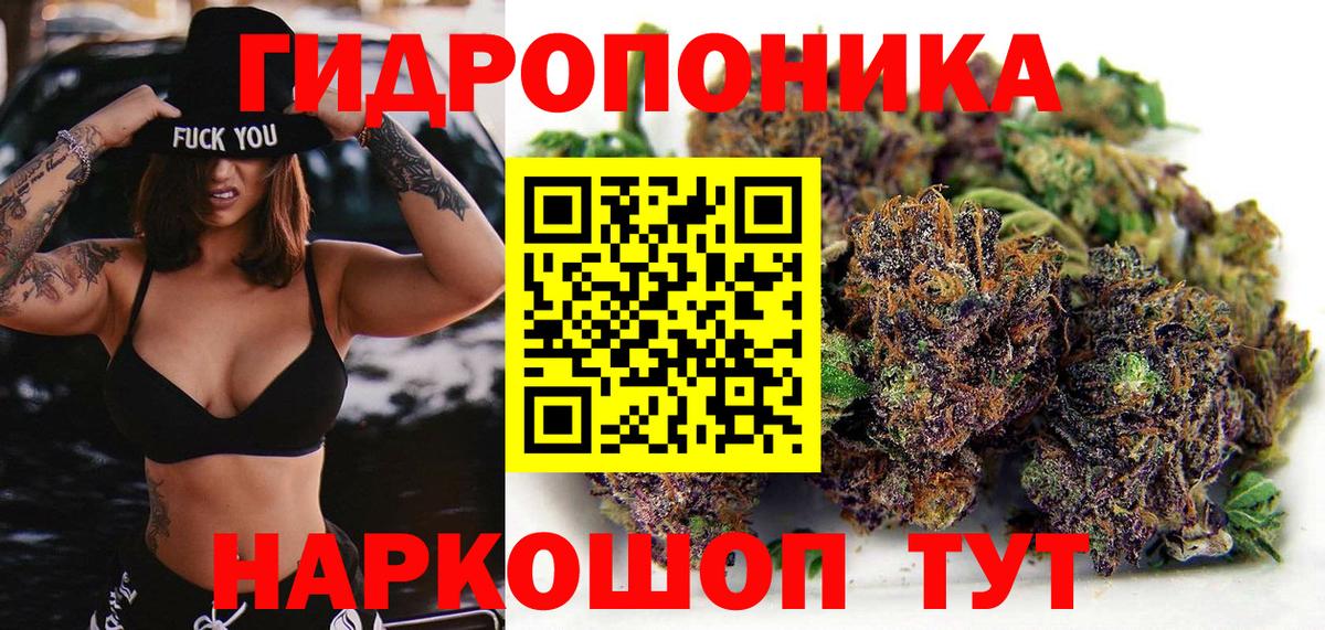 Шишки марихуана ГИДРОПОН  Бошки марихуана тримм  Канабис Bruce Banner  Вход с VPN  Канаш  Бошки Шишки семена 